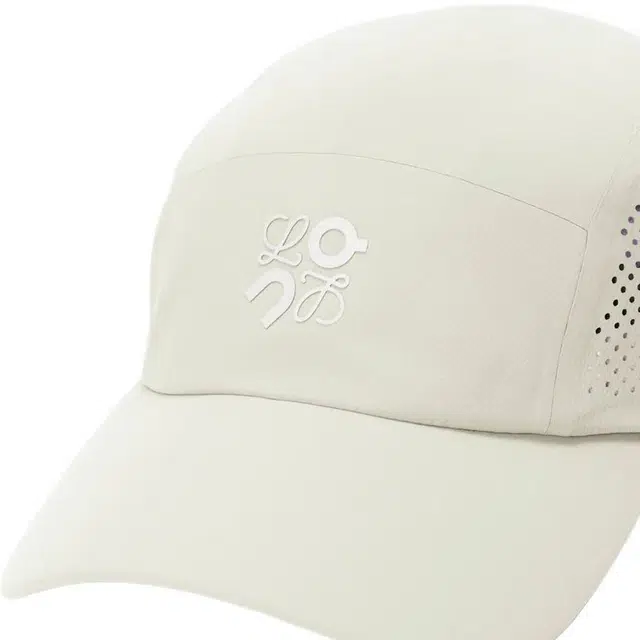 LOEWE 100