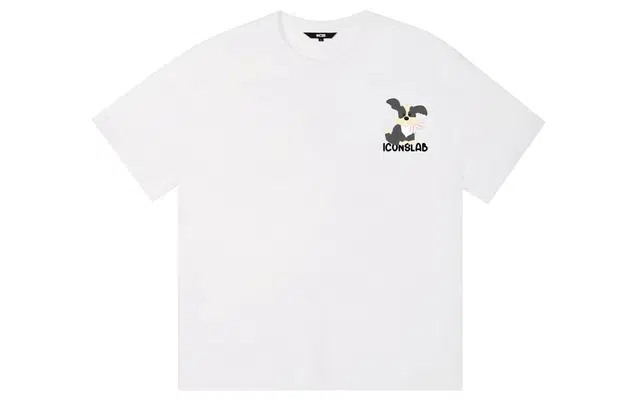ICONS Lab ICS T