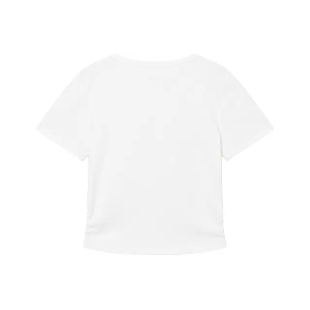 Hotwind T