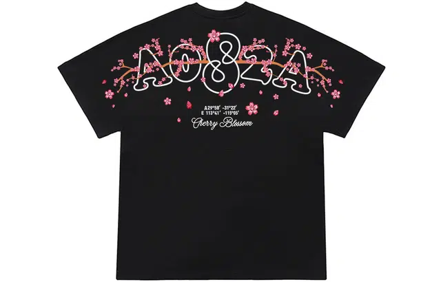 a02 LogoT