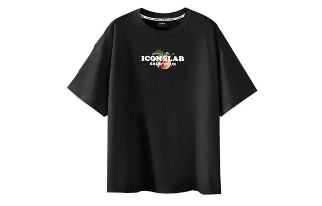 ICONS Lab T