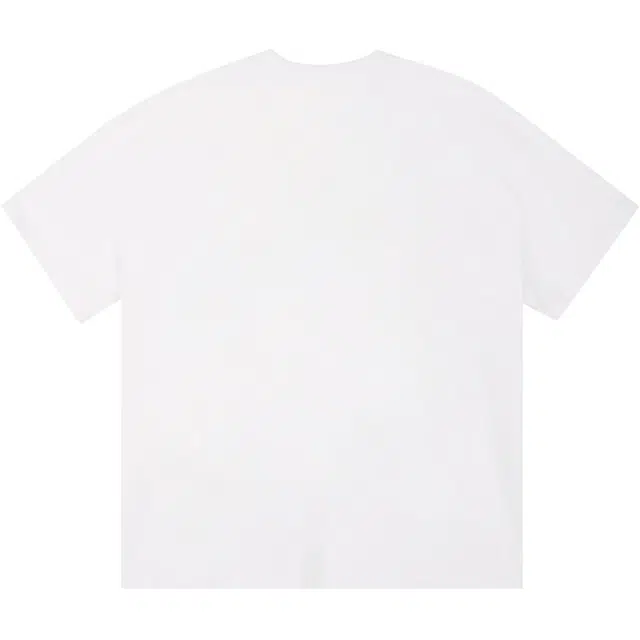 ICONS Lab ICS T