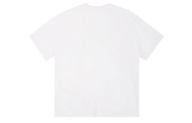 ICONS Lab ICS T