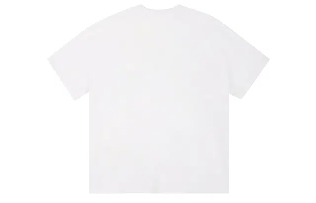 ICONS Lab ICS T