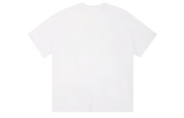 ICONS Lab ICS T