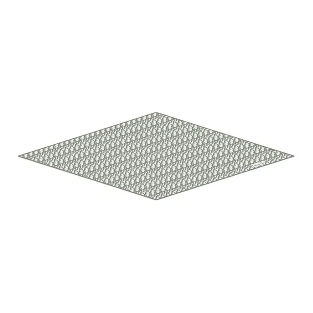 DIOR Oblique