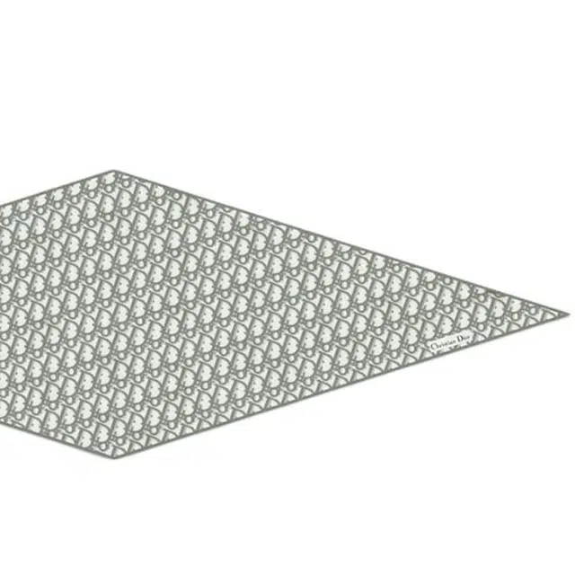 DIOR Oblique