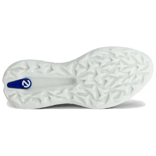 ecco GOLF BIOM H5