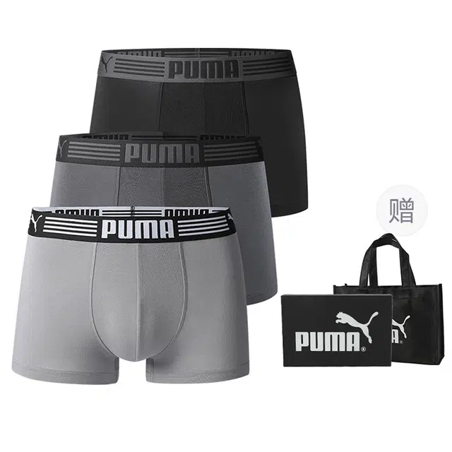 PUMA 3