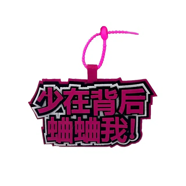 丹琴 我补药上学创意搞怪包包字牌挂饰搞笑发疯文学系列书包背包 毛毡 挂件 男女同款情侣款