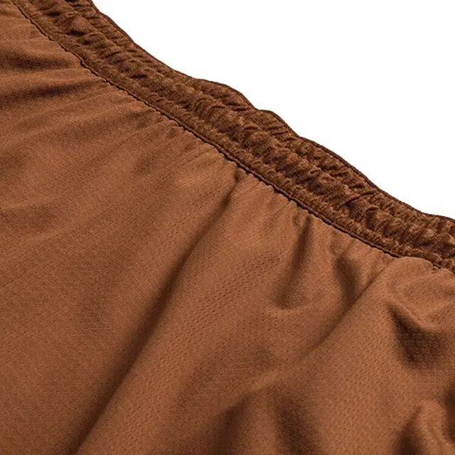 Nike SS25 Sport Shorts Brown