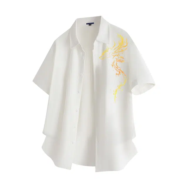 PAUL COSTELLOE logo
