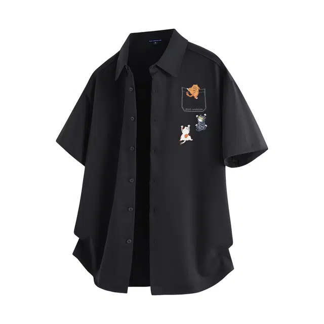 PAUL COSTELLOE T