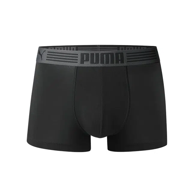 PUMA 3