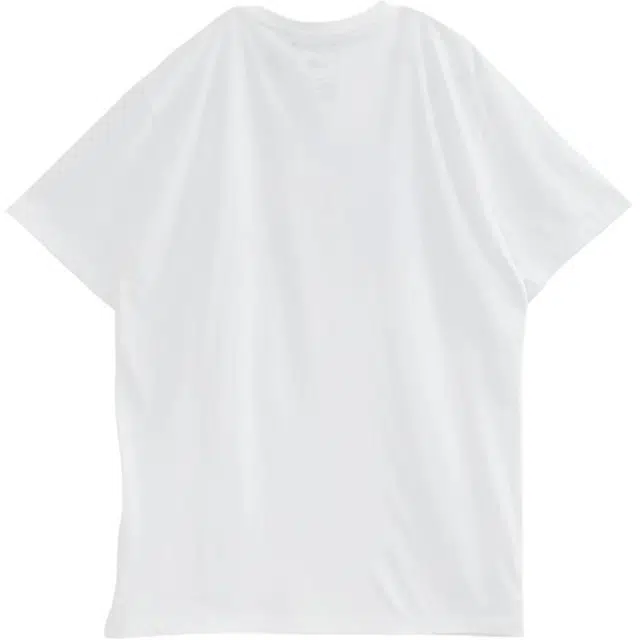 THE NORTH FACE SS23 LogoT