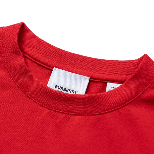 Burberry FW22 T