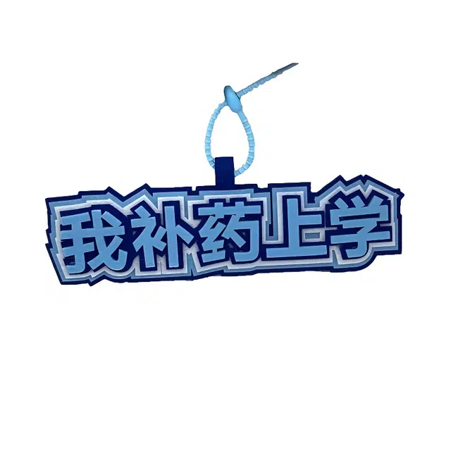 丹琴 我补药上学创意搞怪包包字牌挂饰搞笑发疯文学系列书包背包 毛毡 挂件 男女同款情侣款
