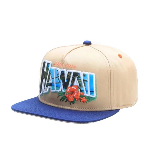 GREETINGS FROM HAWAII