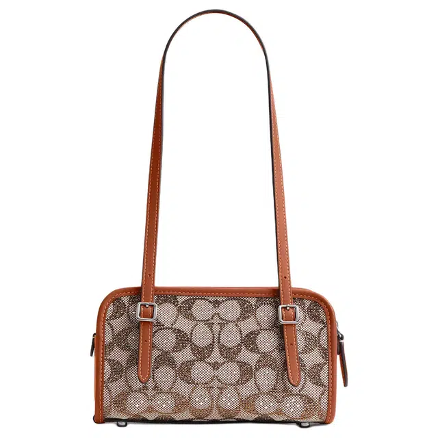 COACH Swinger 20