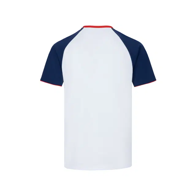 Mizuno T