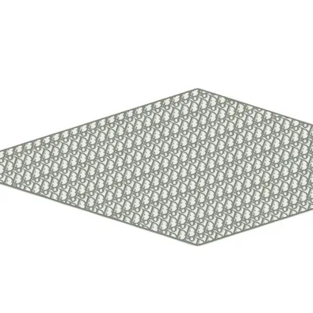 DIOR Oblique