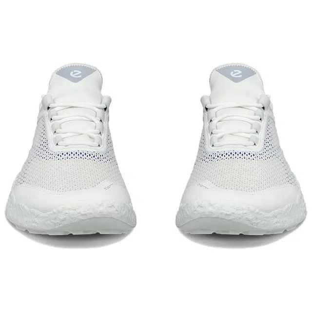 ecco GOLF BIOM H5