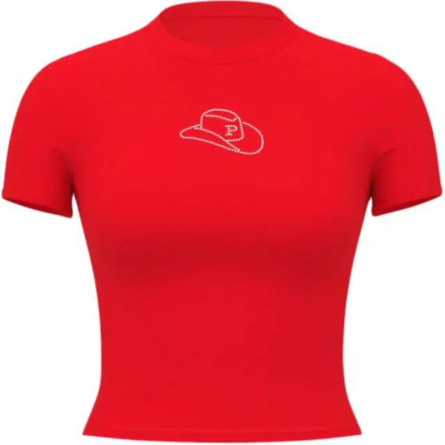 Victoria's Secret PINK T