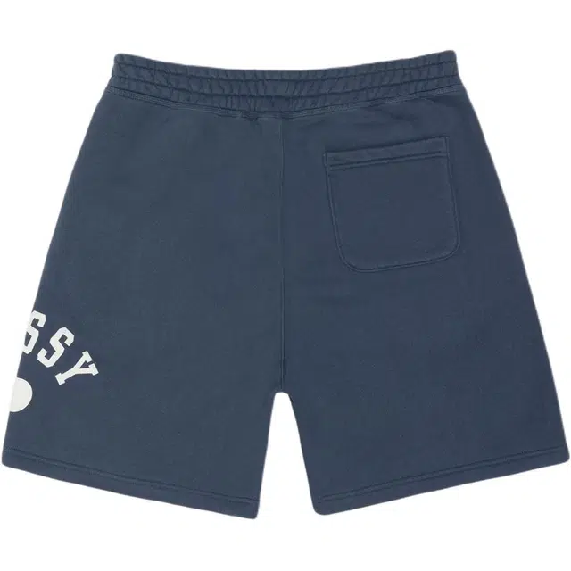 Stussy SS25 VARSITY FLEECE SHORT logo