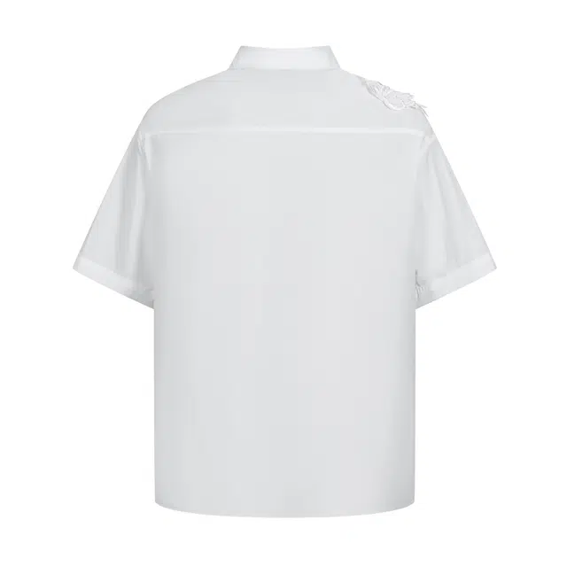 PAUL COSTELLOE logo