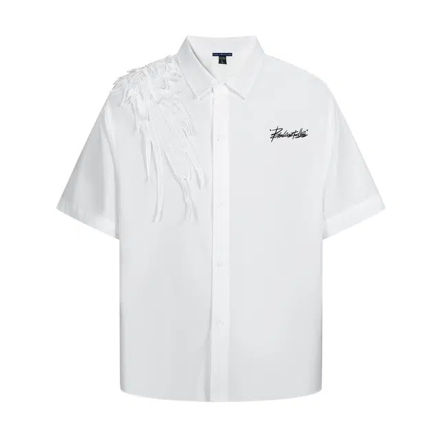 PAUL COSTELLOE logo