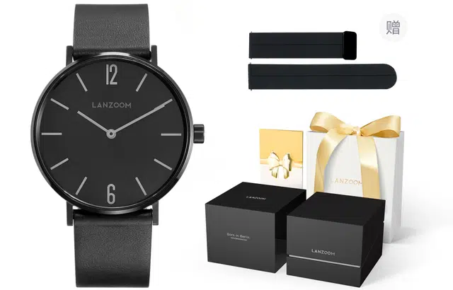 LANZOOMMen's watches LZ Baden01