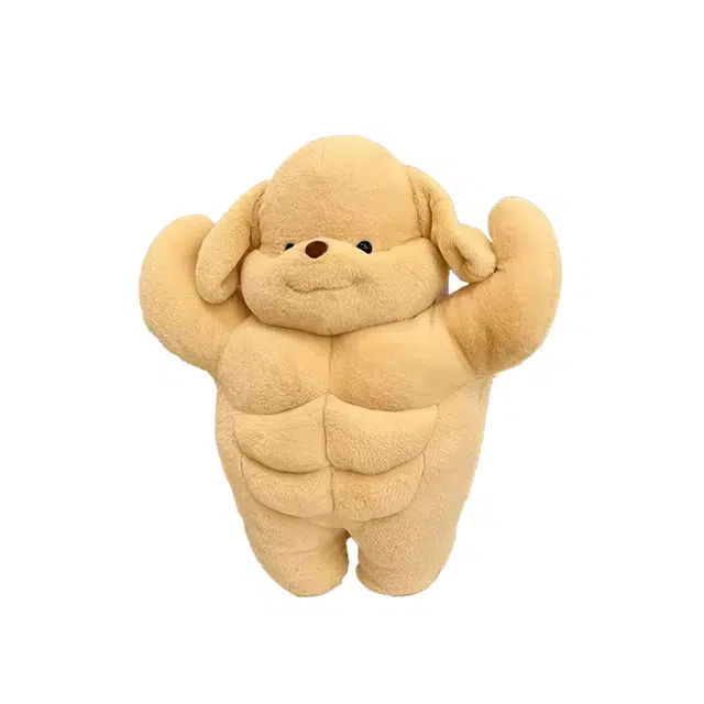 35cm50cm