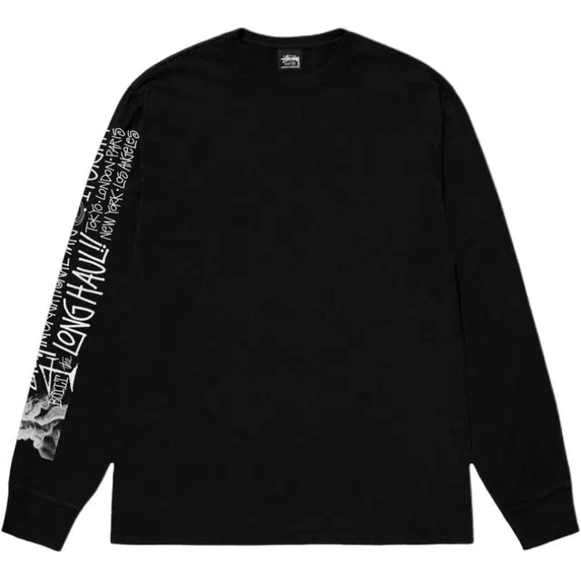 Stussy SS25 LONG HAUL LS TEE T