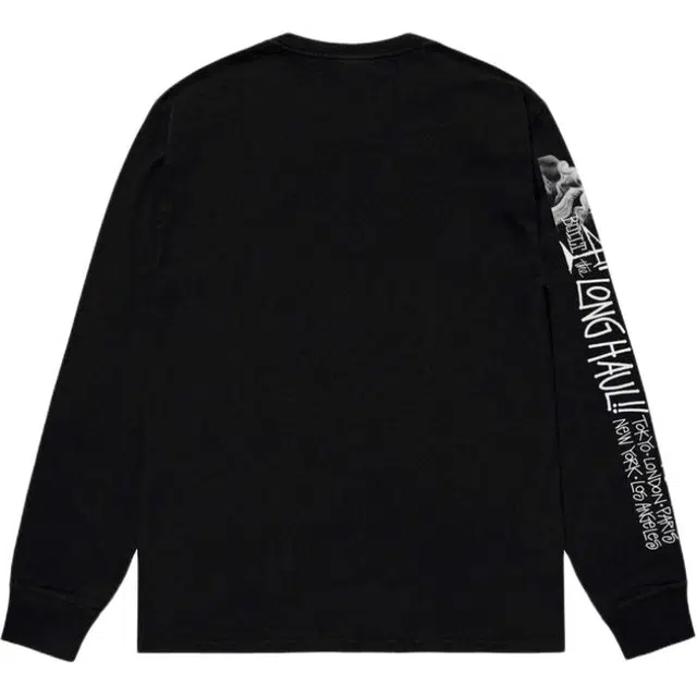Stussy SS25 LONG HAUL LS TEE T