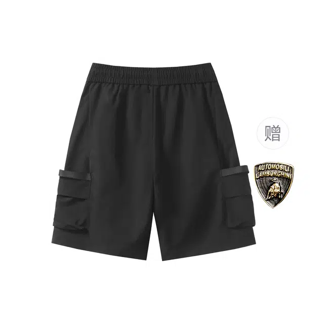 Automobili Lamborghini logo