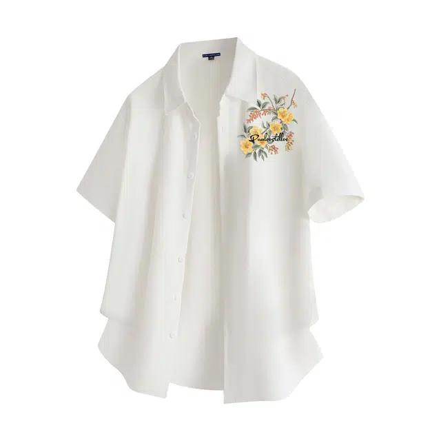 PAUL COSTELLOE logo