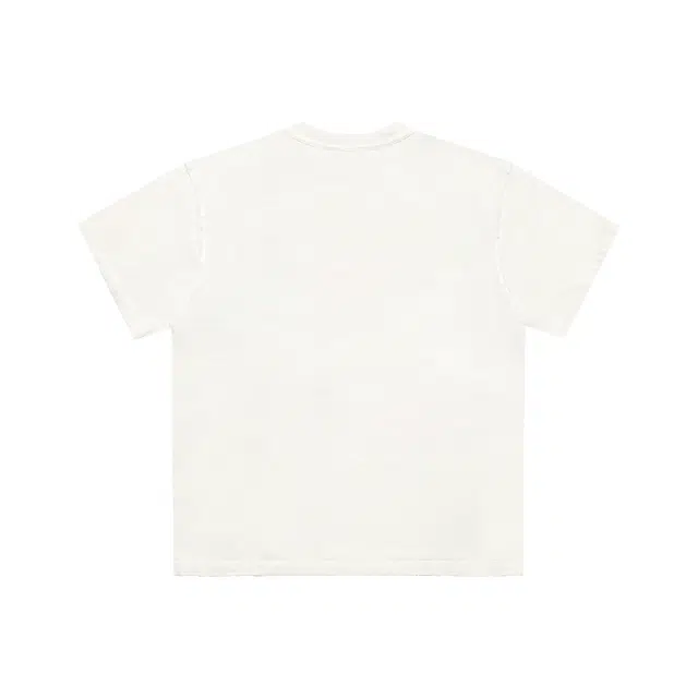 False Perception T