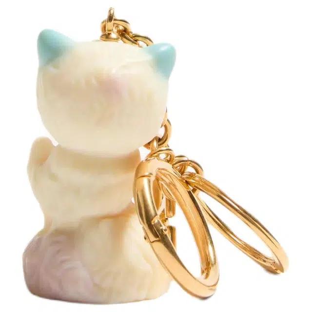 Valentino Charm