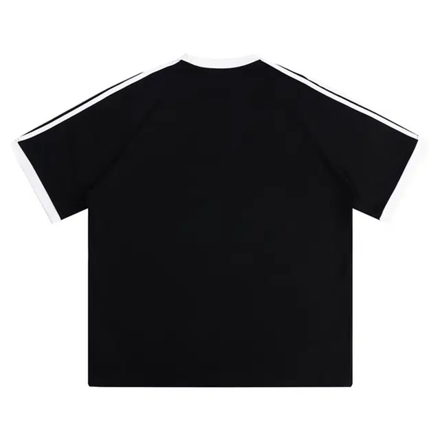 FENGXUELANG T