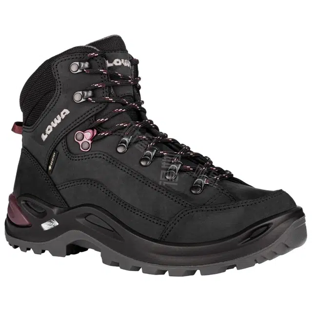Lowa Renegade GTX
