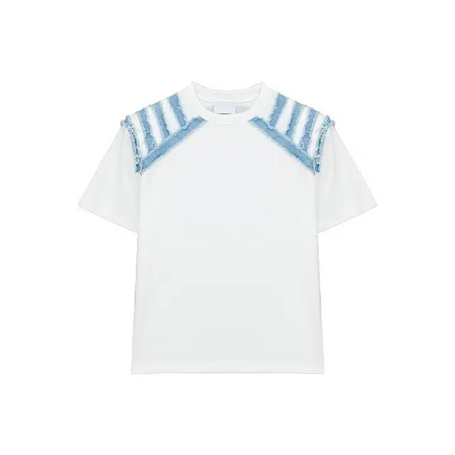 HLPT T