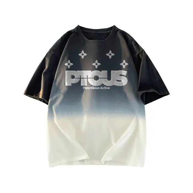 PUNCTILIOUS T