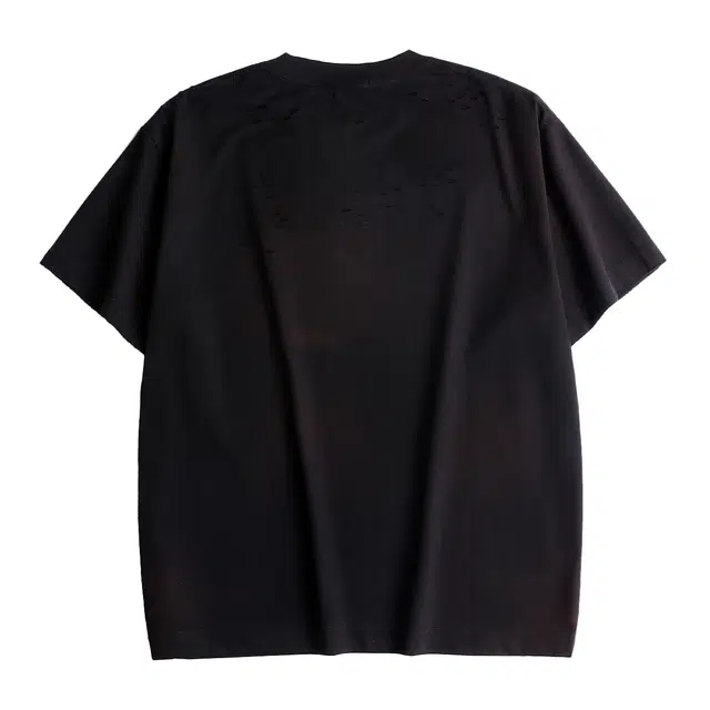 AOGZ T