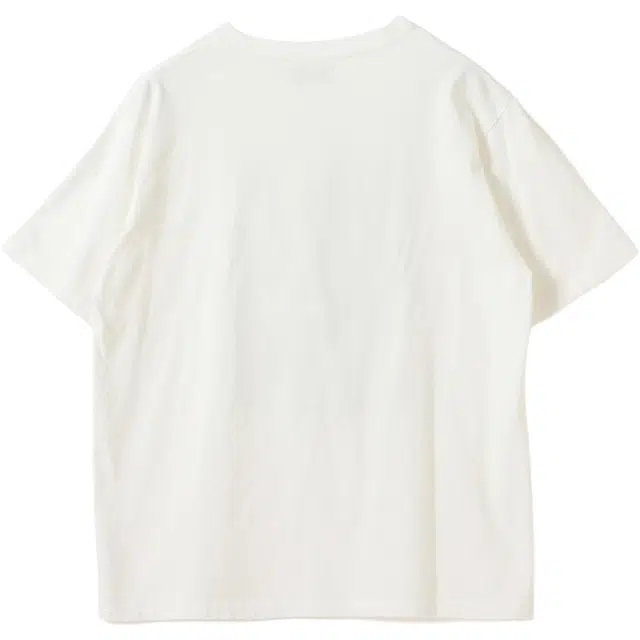 beams T