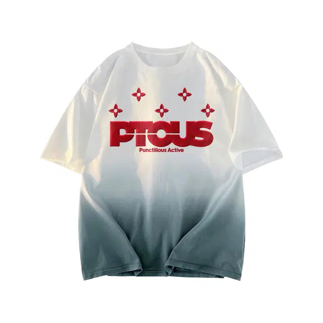 PUNCTILIOUS T