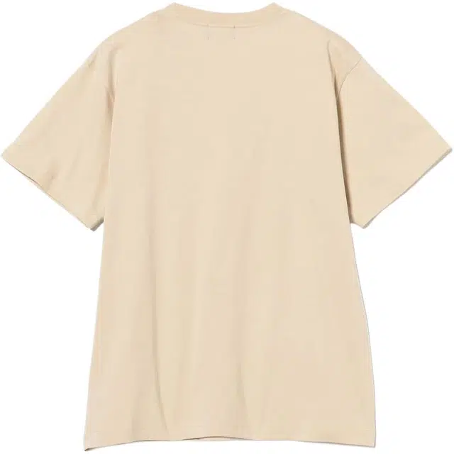 beams T