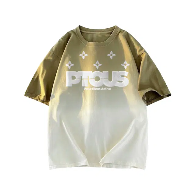 PUNCTILIOUS T