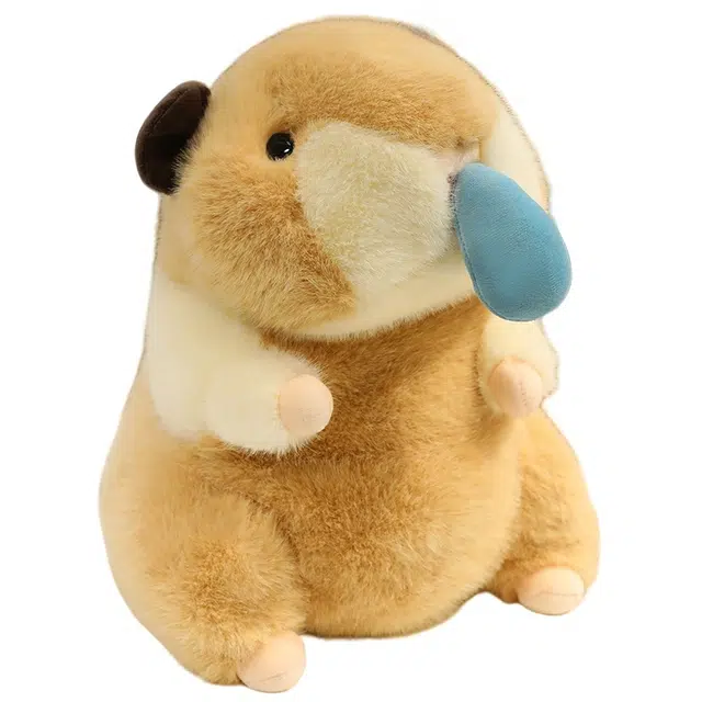 20cm30cm