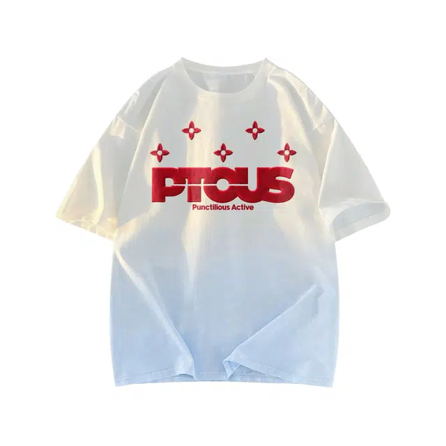 PUNCTILIOUS T