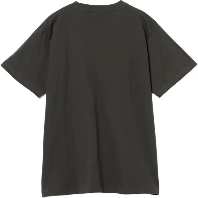 beams T